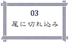 尾に切れ込み